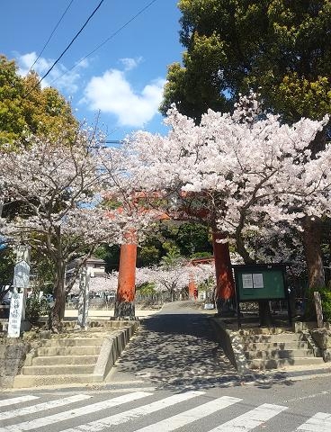 須佐神社 桜の季節はお花見とパワースポット巡り 長崎県佐世保市のおすすめ観光 La Couleurs Sasebo