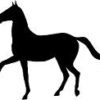 【競馬】ディープインパクト産駒の後継種牡馬戦争！偉大な父の血統を残すのはどの馬？