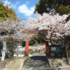 【須佐神社】桜の季節はお花見とパワースポット巡り！長崎県佐世保市のおすすめ観光！